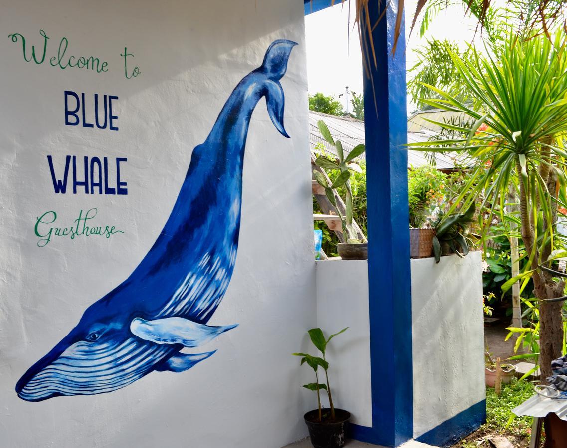 Blue Whale Guesthouse Gili Trawangan Exterior photo